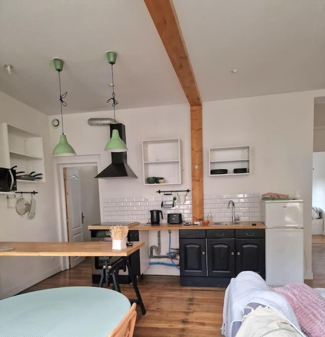 Magnifique Appartement - Driant Troyes Dış mekan fotoğraf